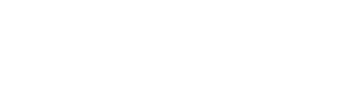 Sea Fox logo