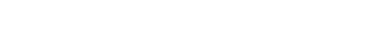 Twin Vee logo